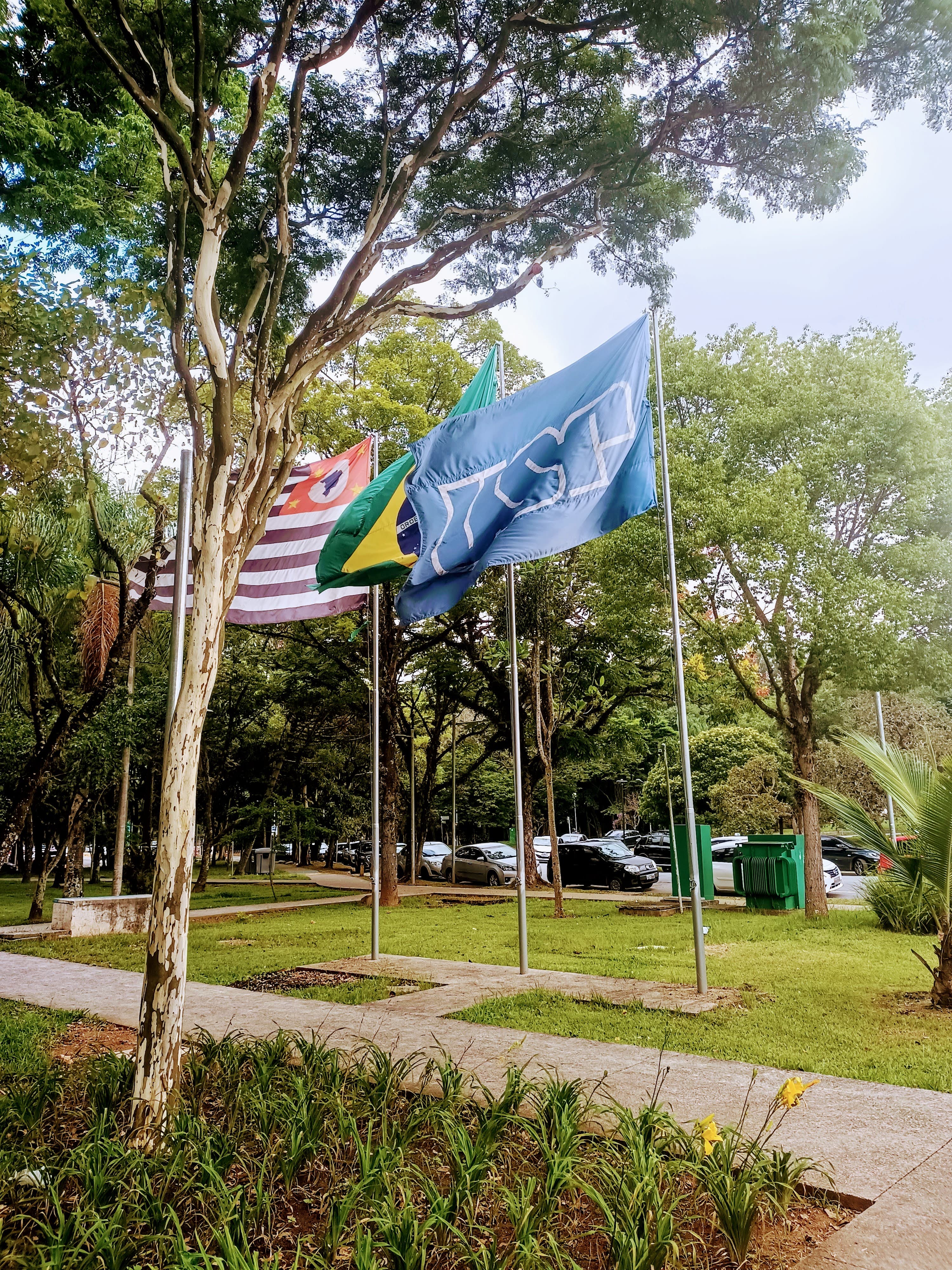 Bandeiras do estado de São Paulo, do Brasil e da USP