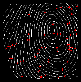 \includegraphics[scale=0.6]{bifurcations.eps}