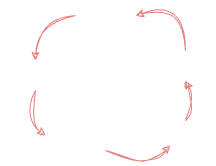 Development cycle